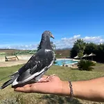 Resort Kodra E Godenve *