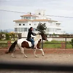 Kodra E Godenve *