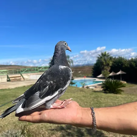 Station touristique Kodra E Godenve *