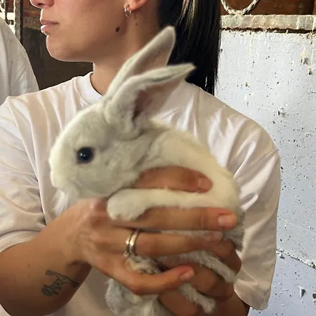 Resort Kodra E Godenve Vile-Ballaj