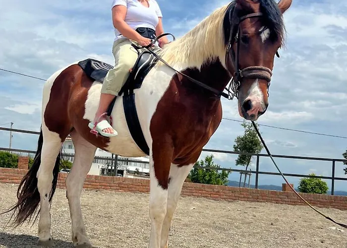 Kodra E Godenve * Vile-Ballaj